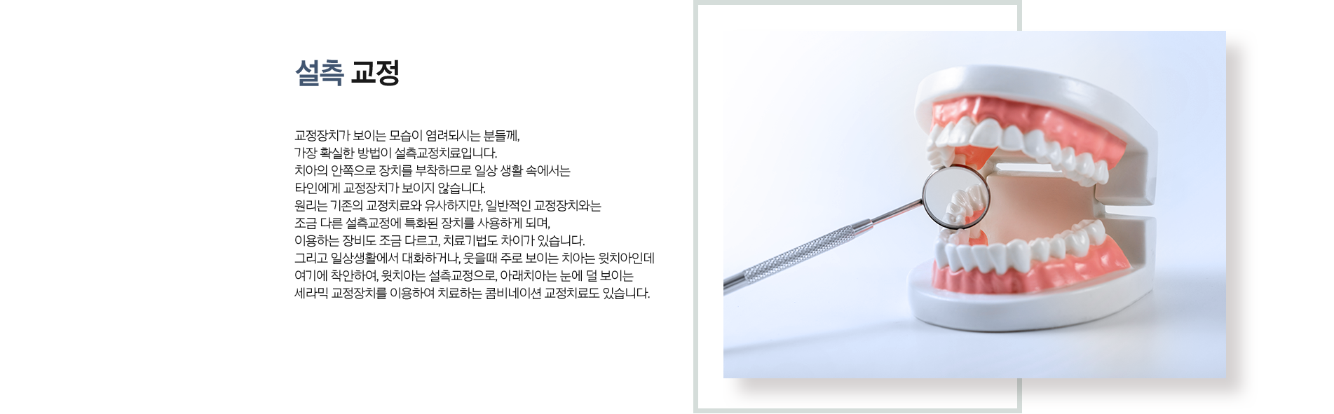 subject_06